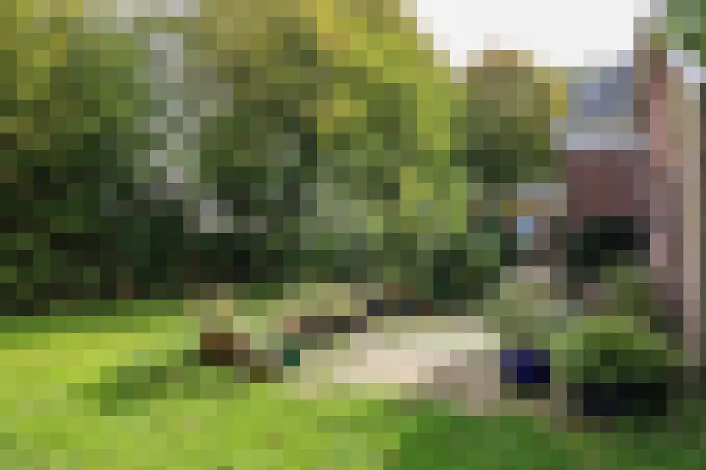 Buorren 13 Blessum thumbnail 76