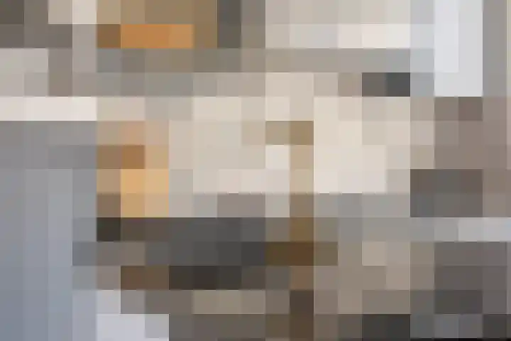 Buorren 138 Terherne thumbnail 11