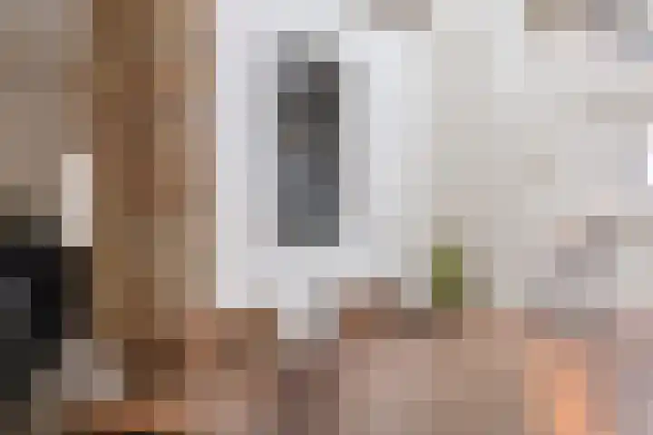 Buorren 138 Terherne thumbnail 13