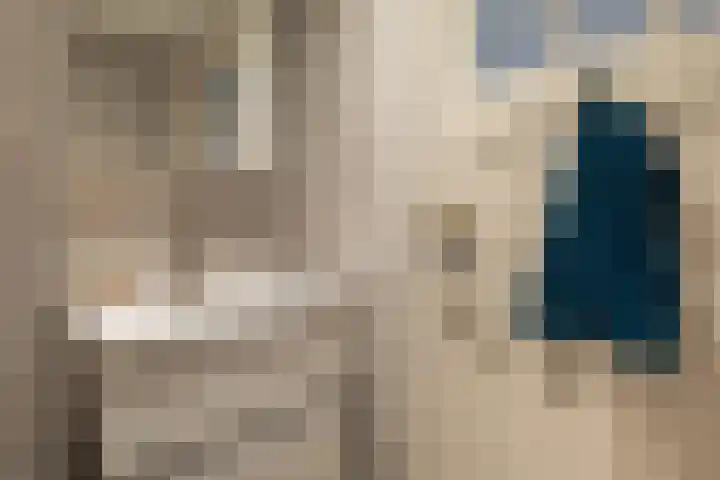 Buorren 138 Terherne thumbnail 18