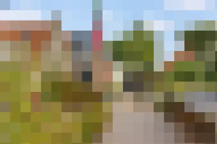 Buorren 138 Terherne thumbnail 32