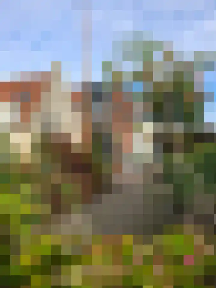 Buorren 138 Terherne thumbnail 33