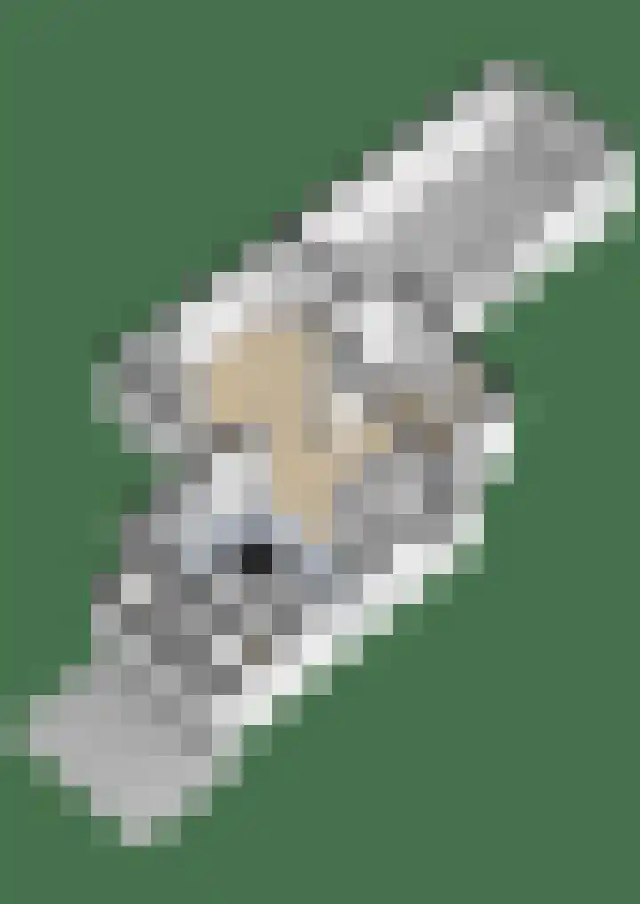 Buorren 138 Terherne thumbnail 35