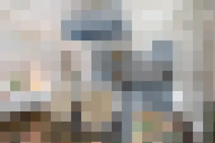 Buorren 138 Terherne thumbnail 5