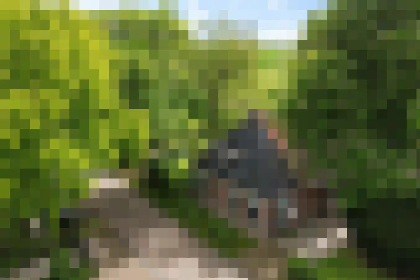 Buorren 14 Skingen