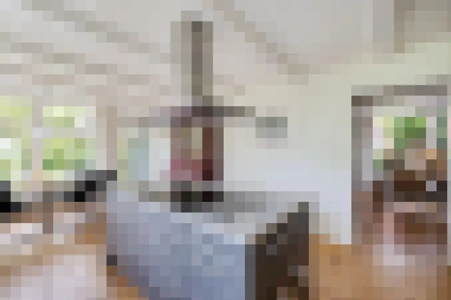 Buorren 14 Skingen thumbnail 14
