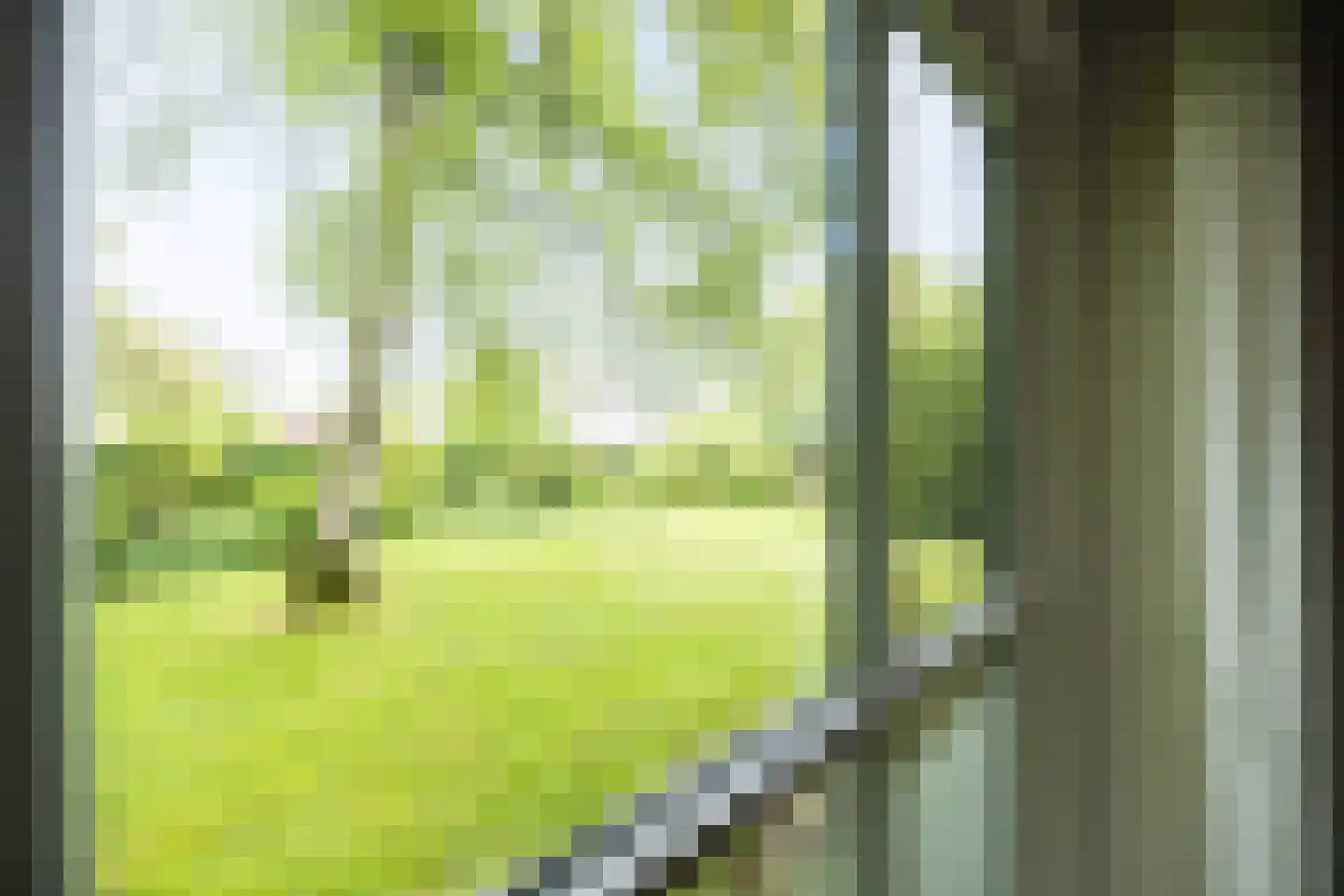 Buorren 14 Skingen thumbnail 19