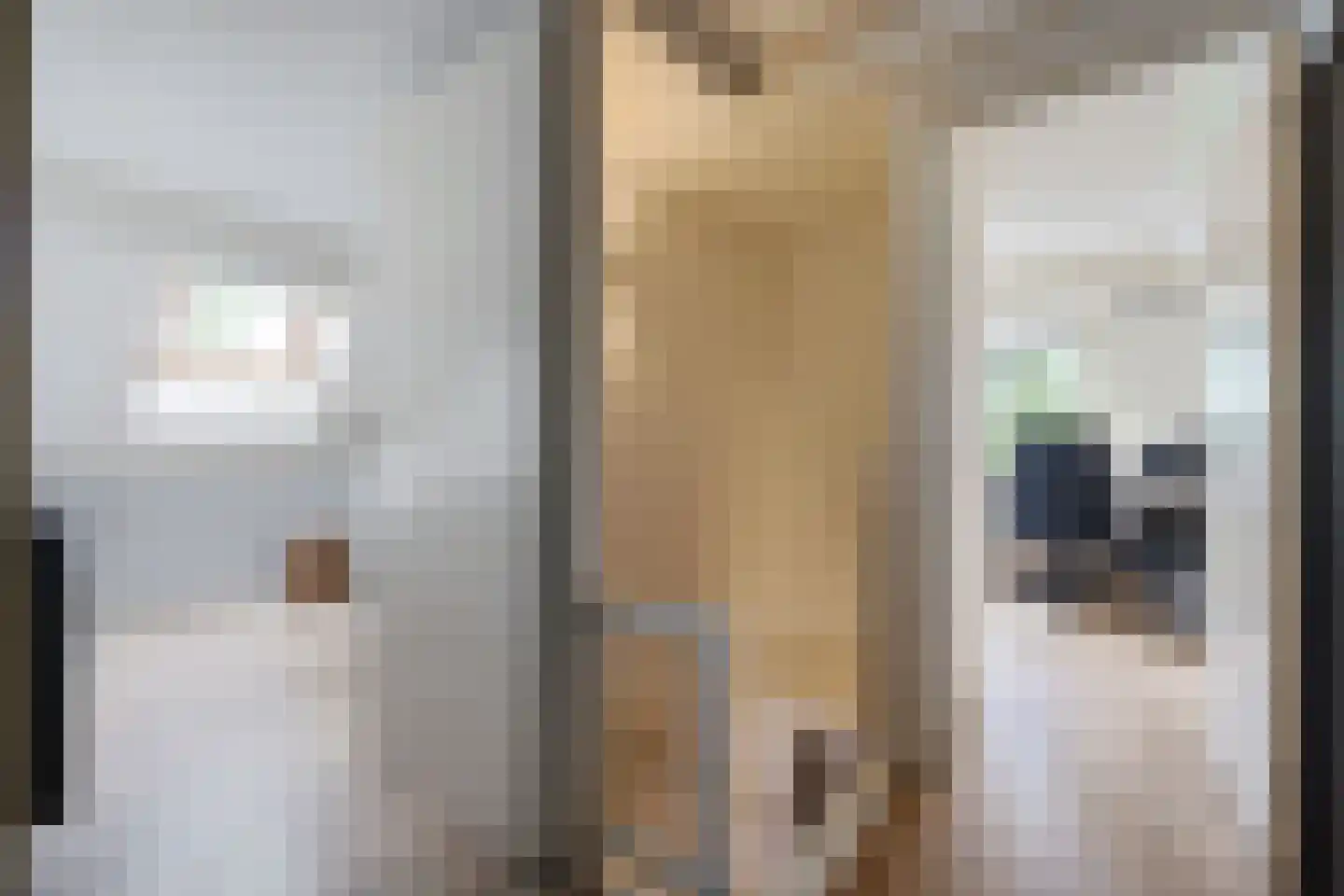 Buorren 14 Skingen thumbnail 36