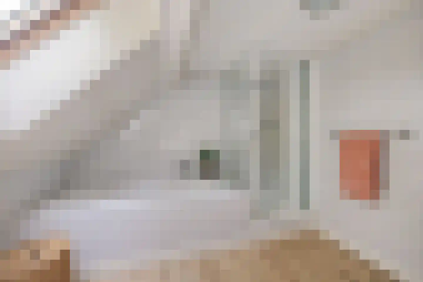 Buorren 14 Skingen thumbnail 43