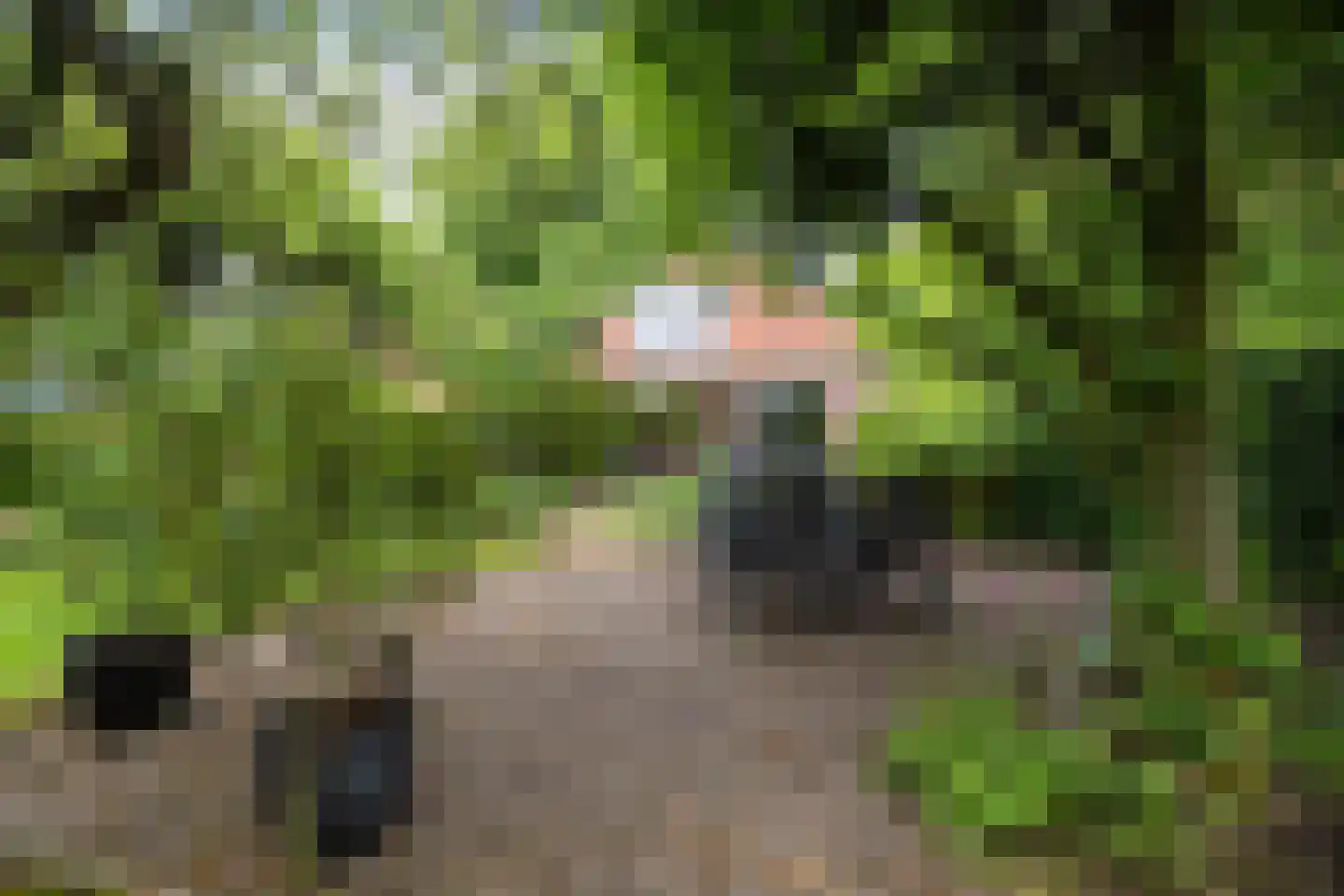 Buorren 14 Skingen thumbnail 47