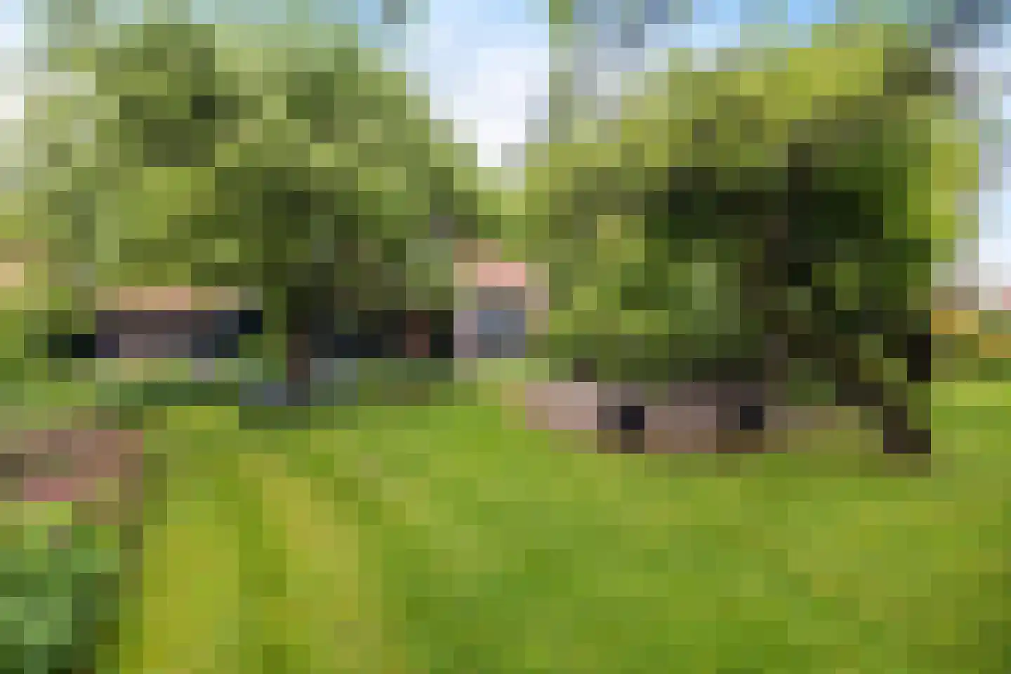 Buorren 14 Skingen thumbnail 48