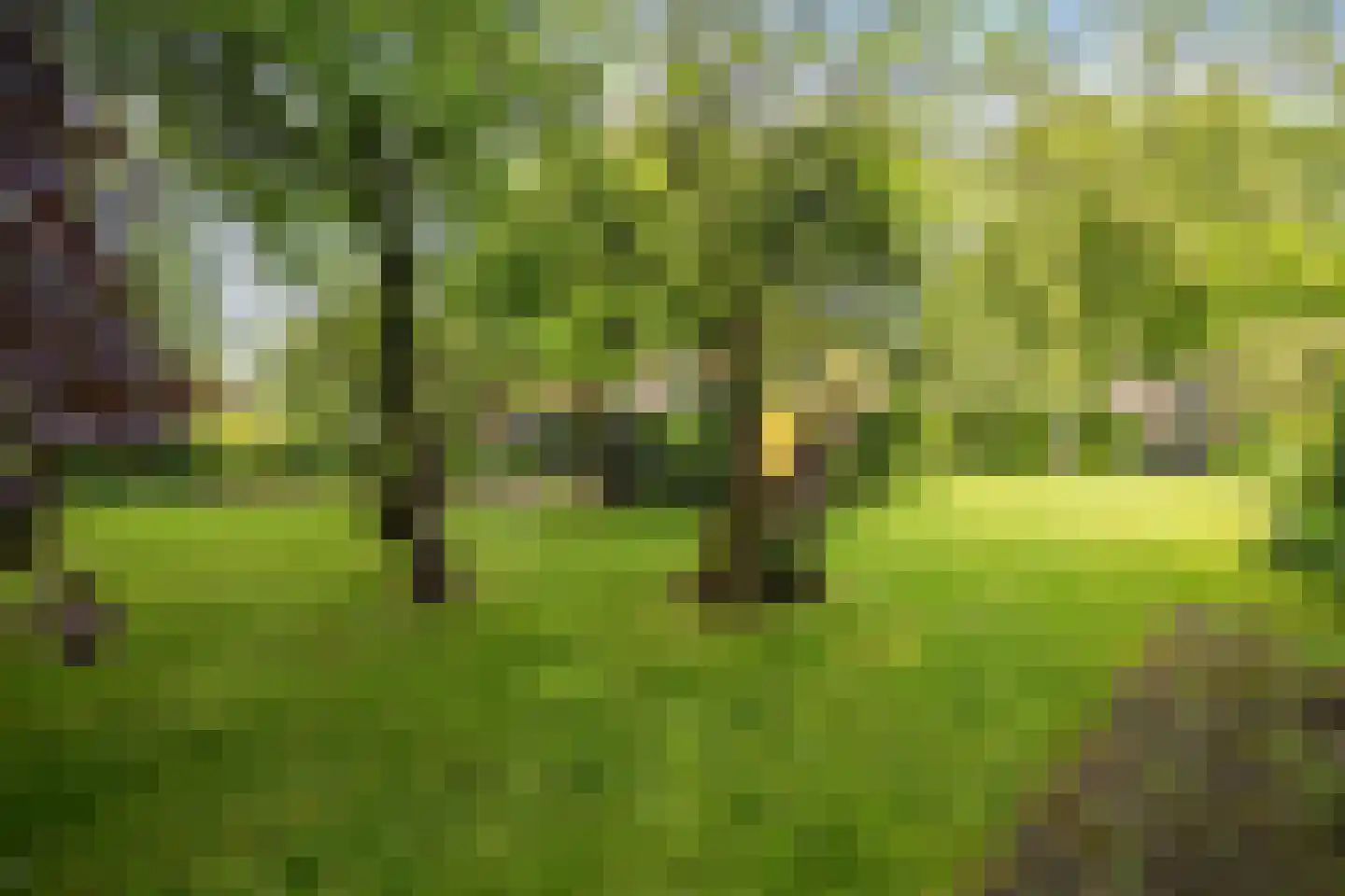 Buorren 14 Skingen thumbnail 49