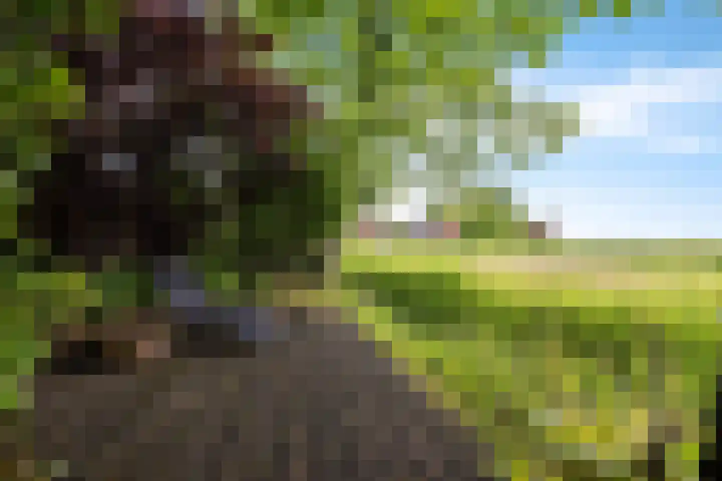 Buorren 14 Skingen thumbnail 50