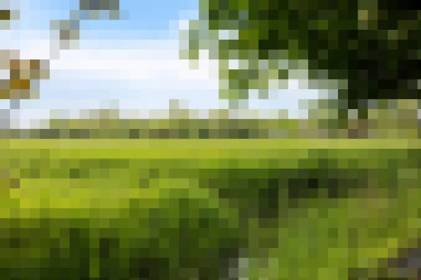 Buorren 14 Skingen thumbnail 51