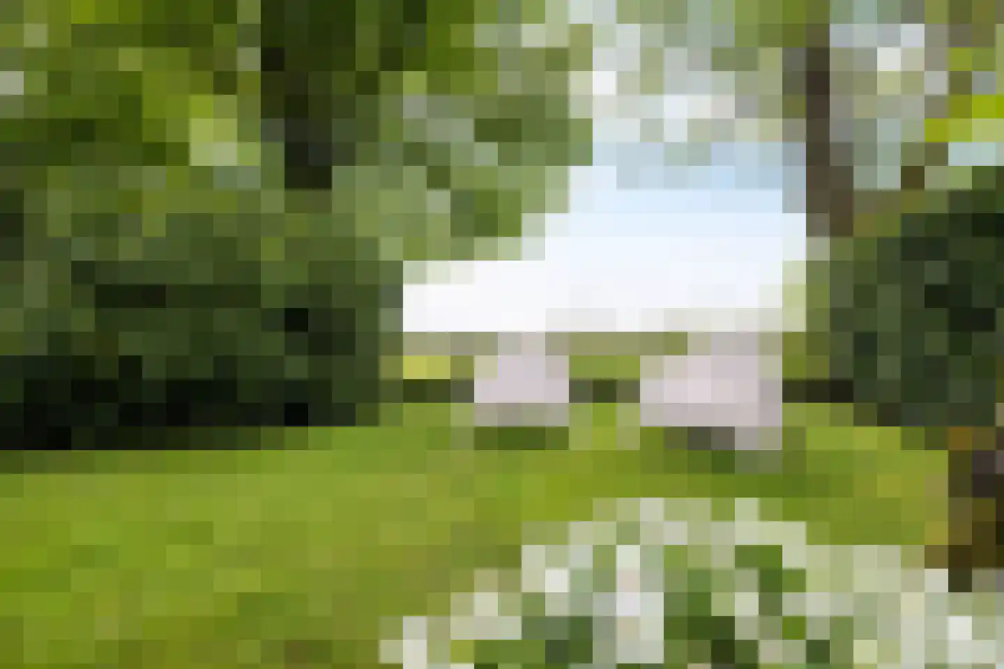 Buorren 14 Skingen thumbnail 52