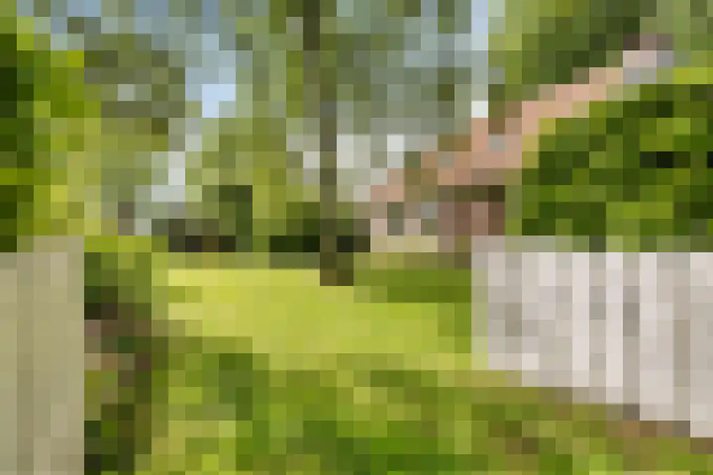 Buorren 14 Skingen thumbnail 53