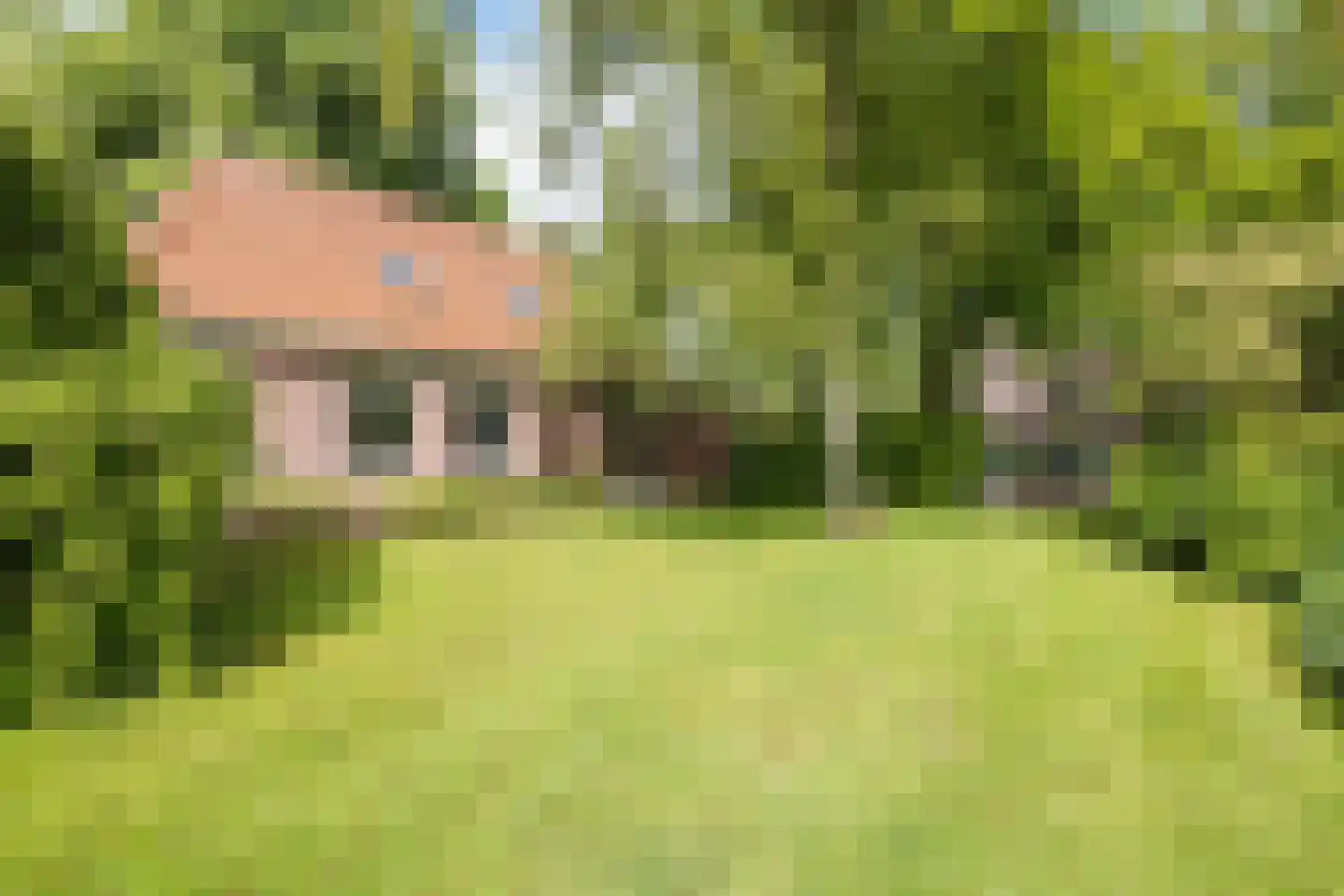 Buorren 14 Skingen thumbnail 54