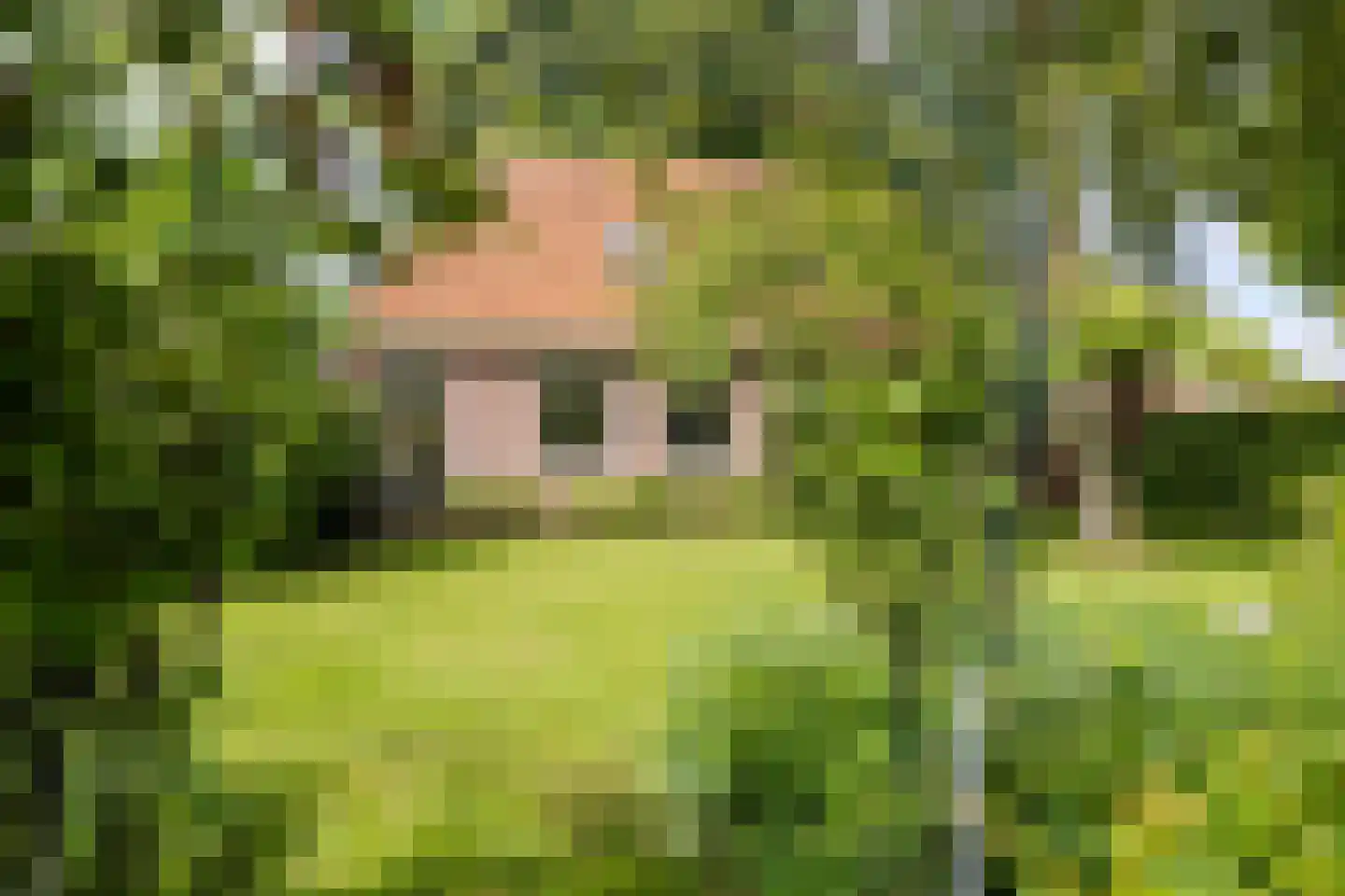 Buorren 14 Skingen thumbnail 55