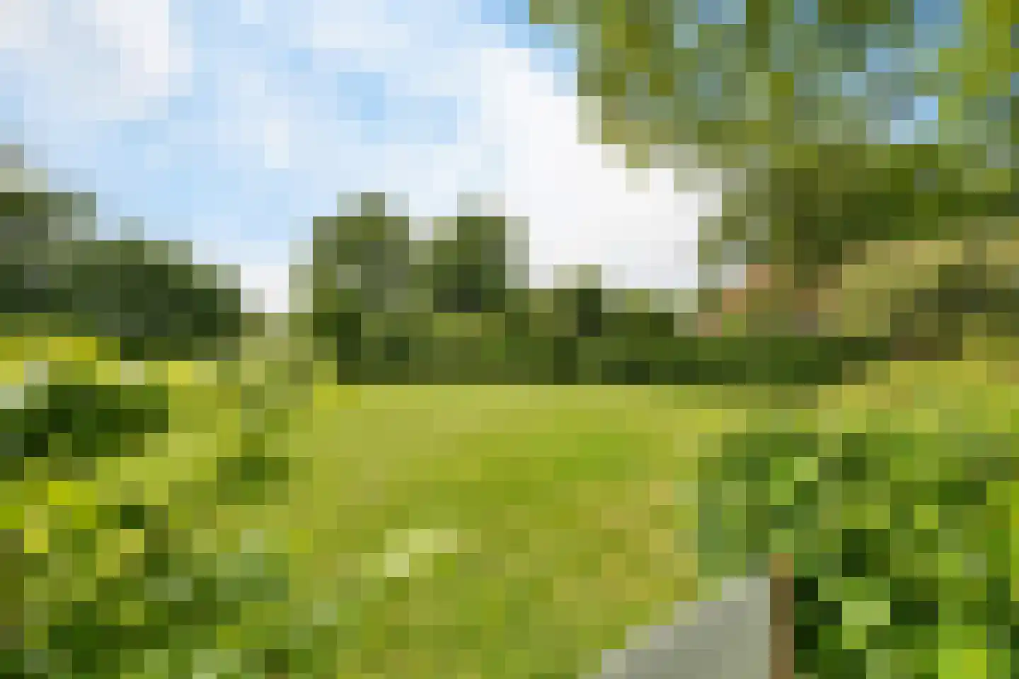 Buorren 14 Skingen thumbnail 56