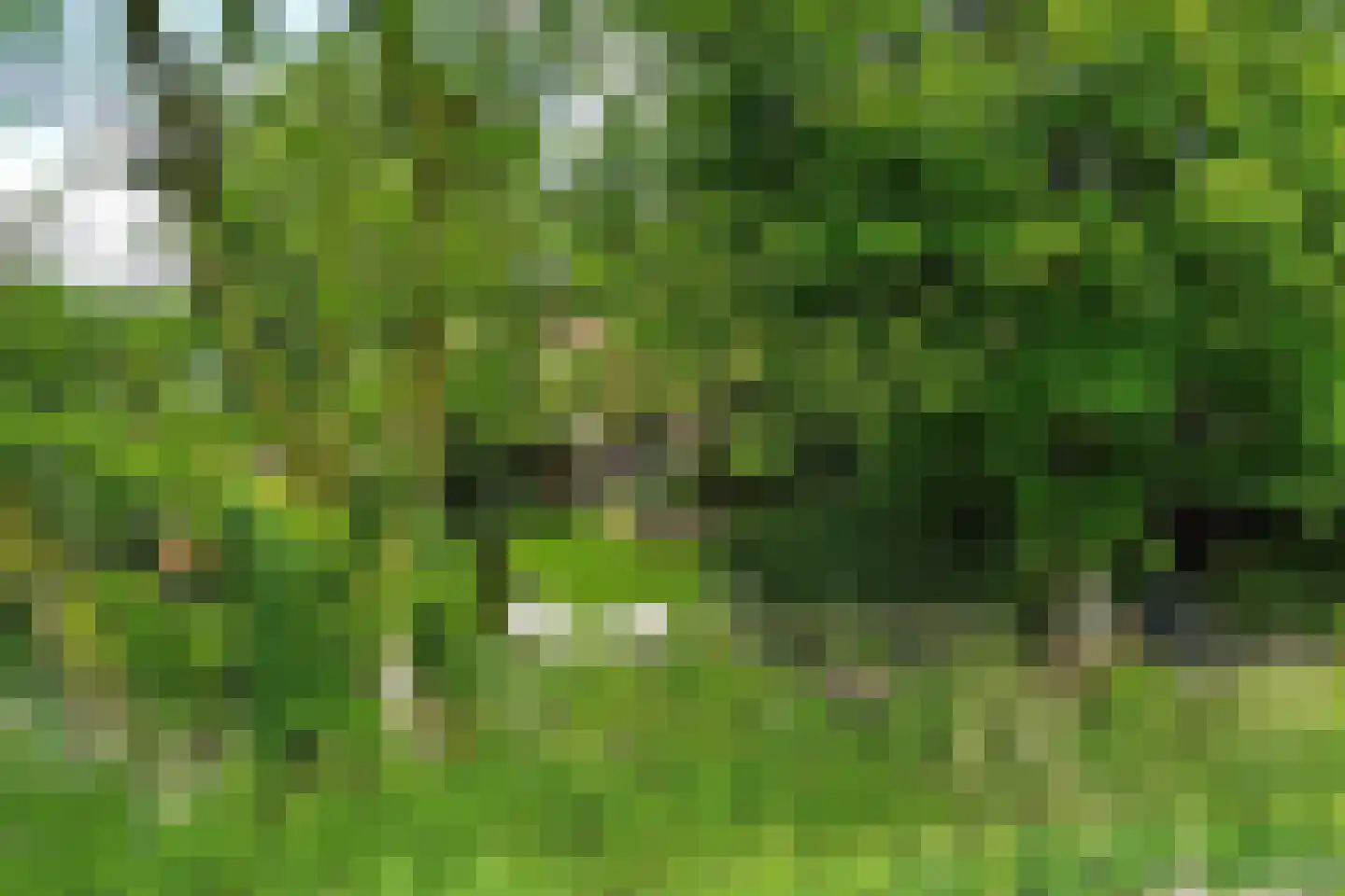 Buorren 14 Skingen thumbnail 59