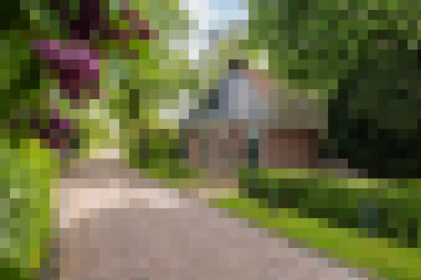 Buorren 14 Skingen thumbnail 60