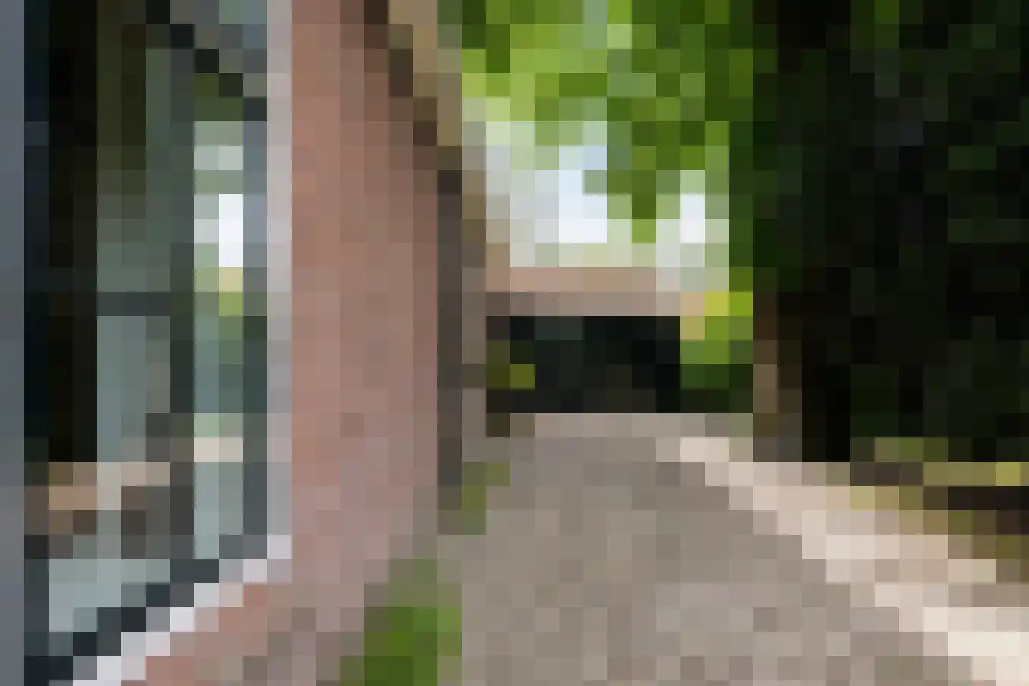 Buorren 14 Skingen thumbnail 62