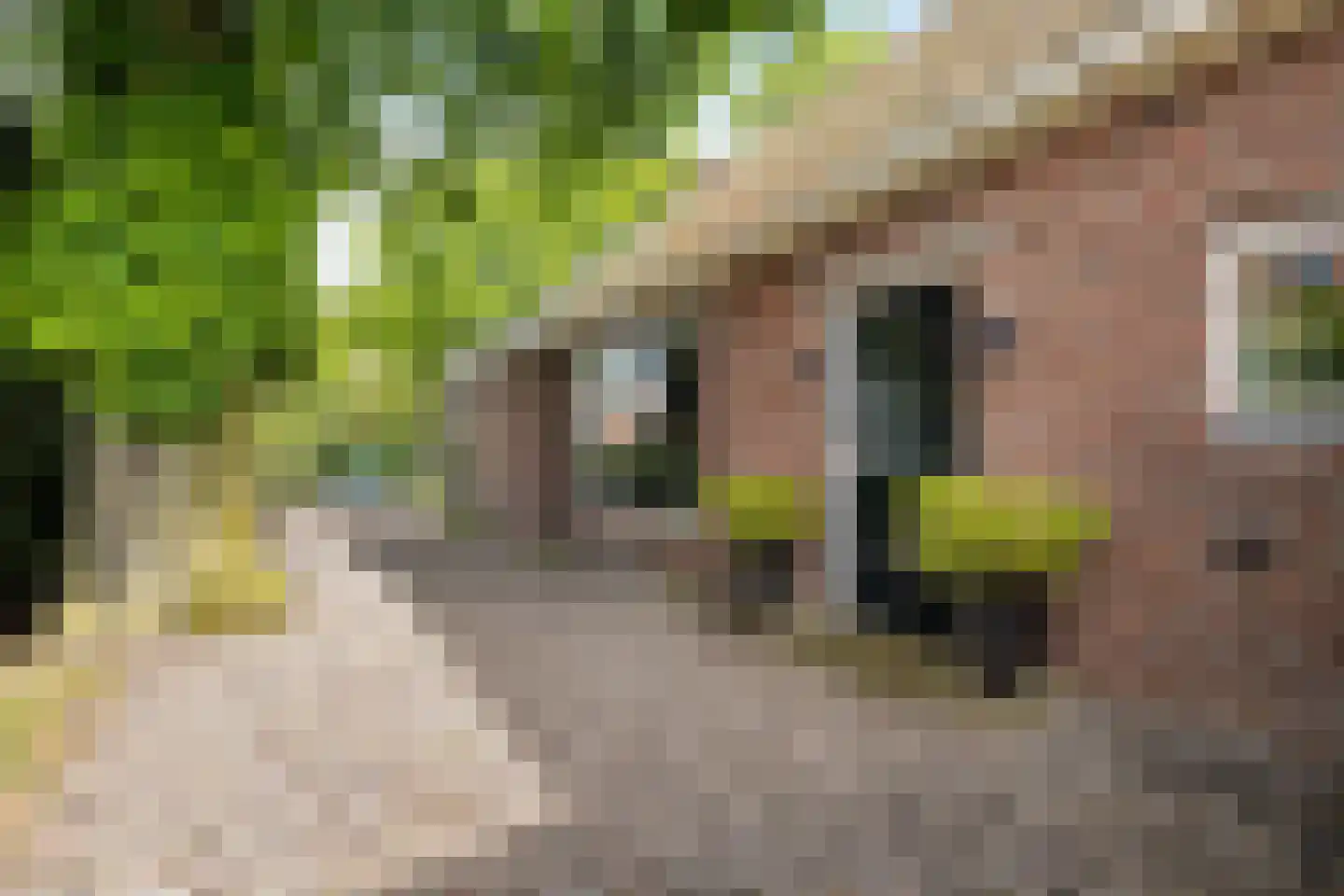 Buorren 14 Skingen thumbnail 63