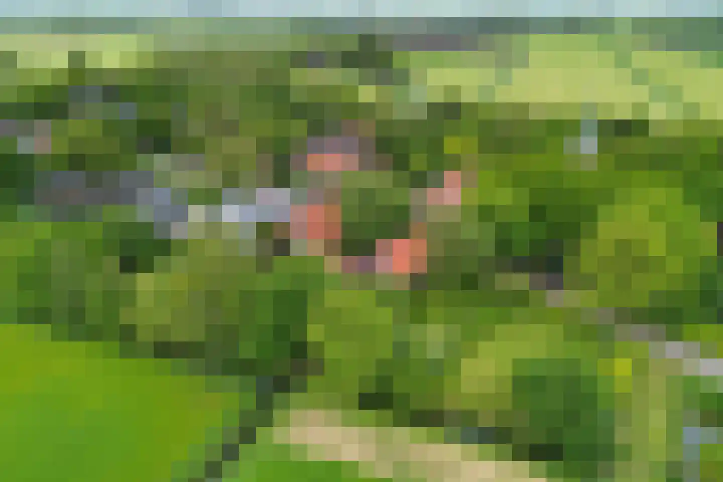 Buorren 14 Skingen thumbnail 65