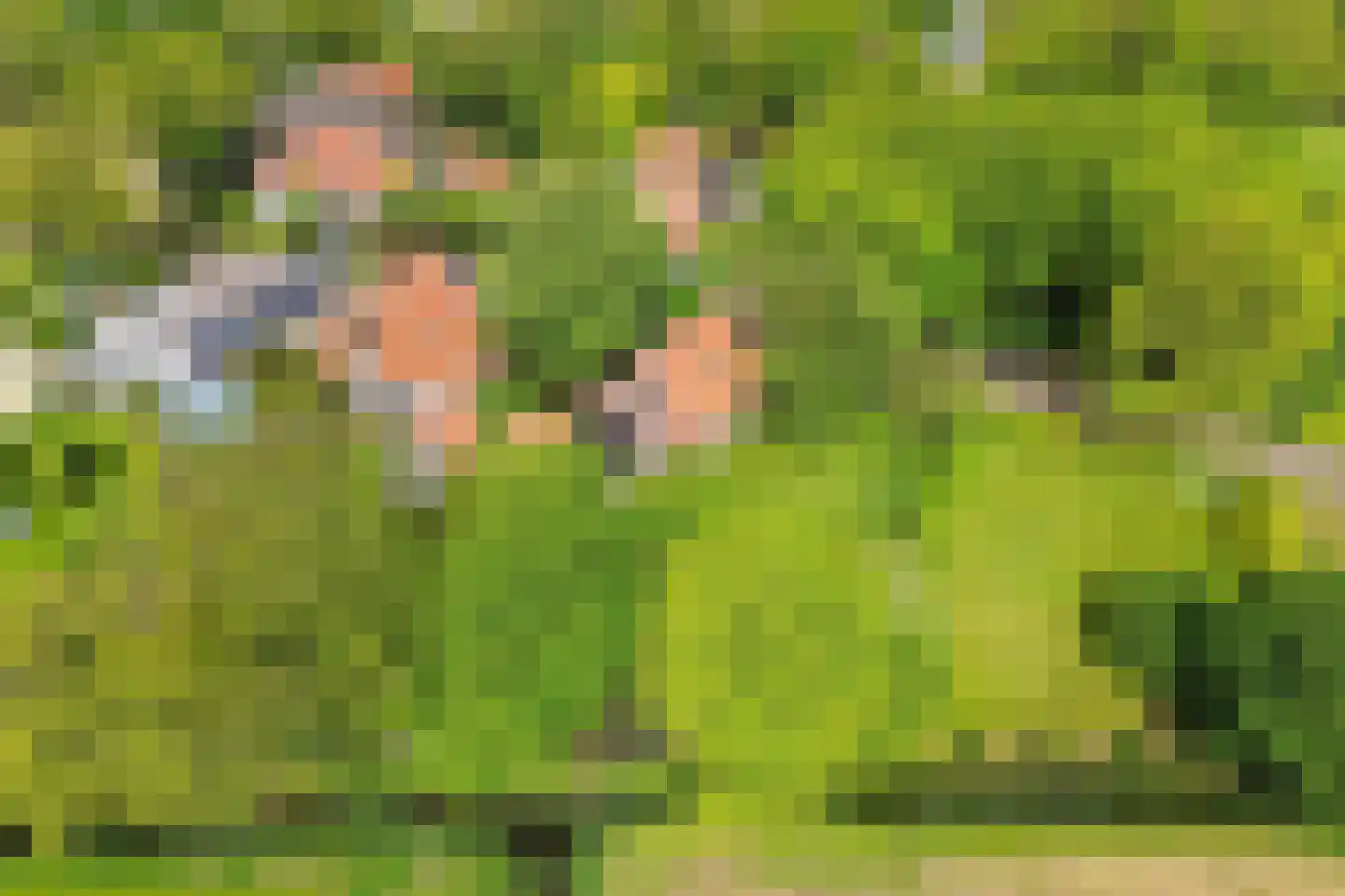 Buorren 14 Skingen thumbnail 66