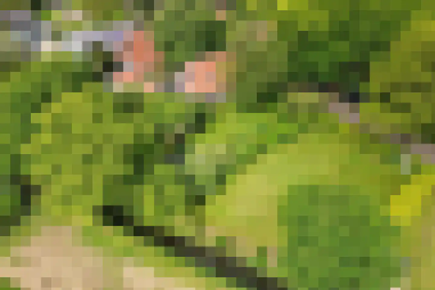 Buorren 14 Skingen thumbnail 67