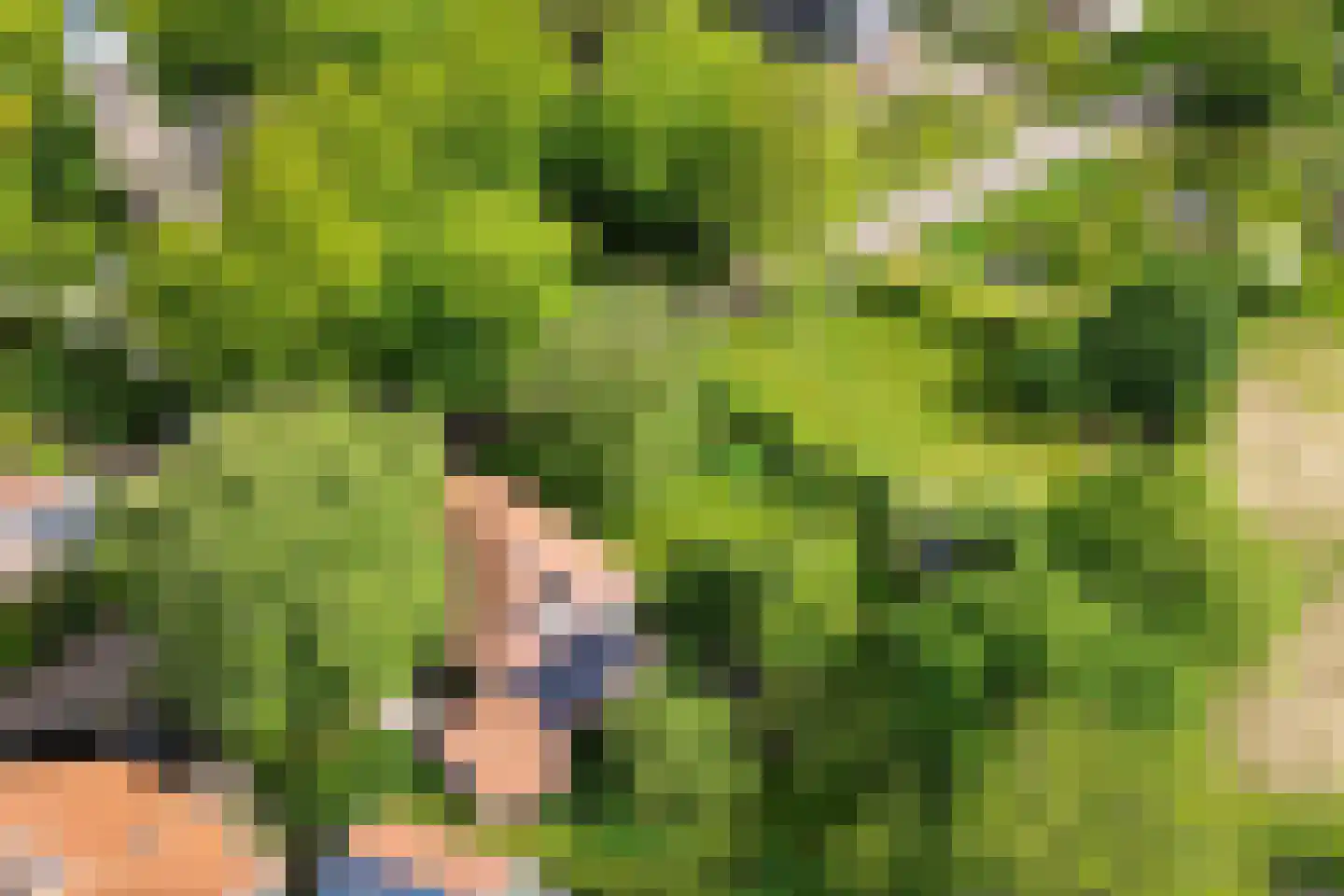 Buorren 14 Skingen thumbnail 69