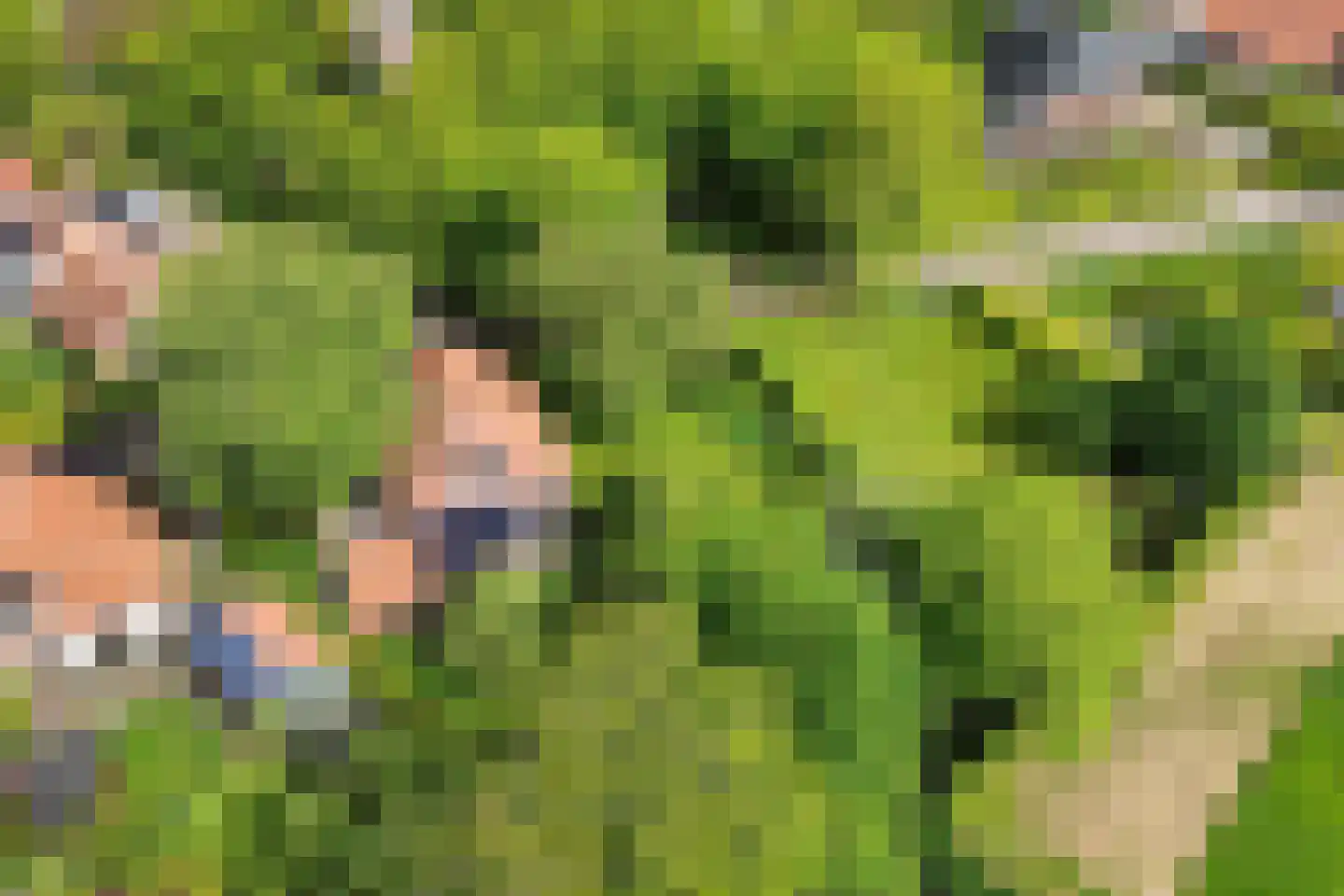 Buorren 14 Skingen thumbnail 70
