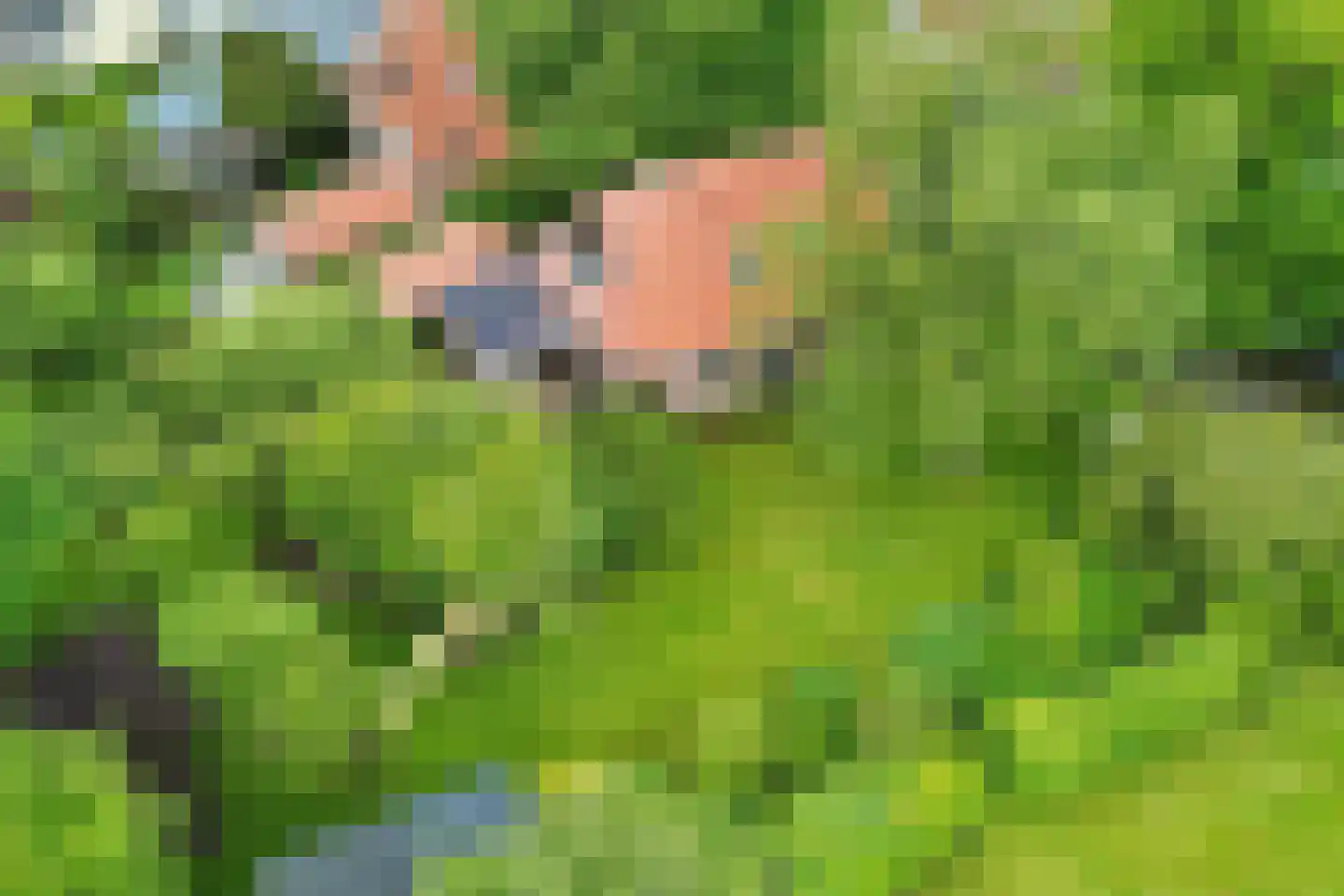 Buorren 14 Skingen thumbnail 71