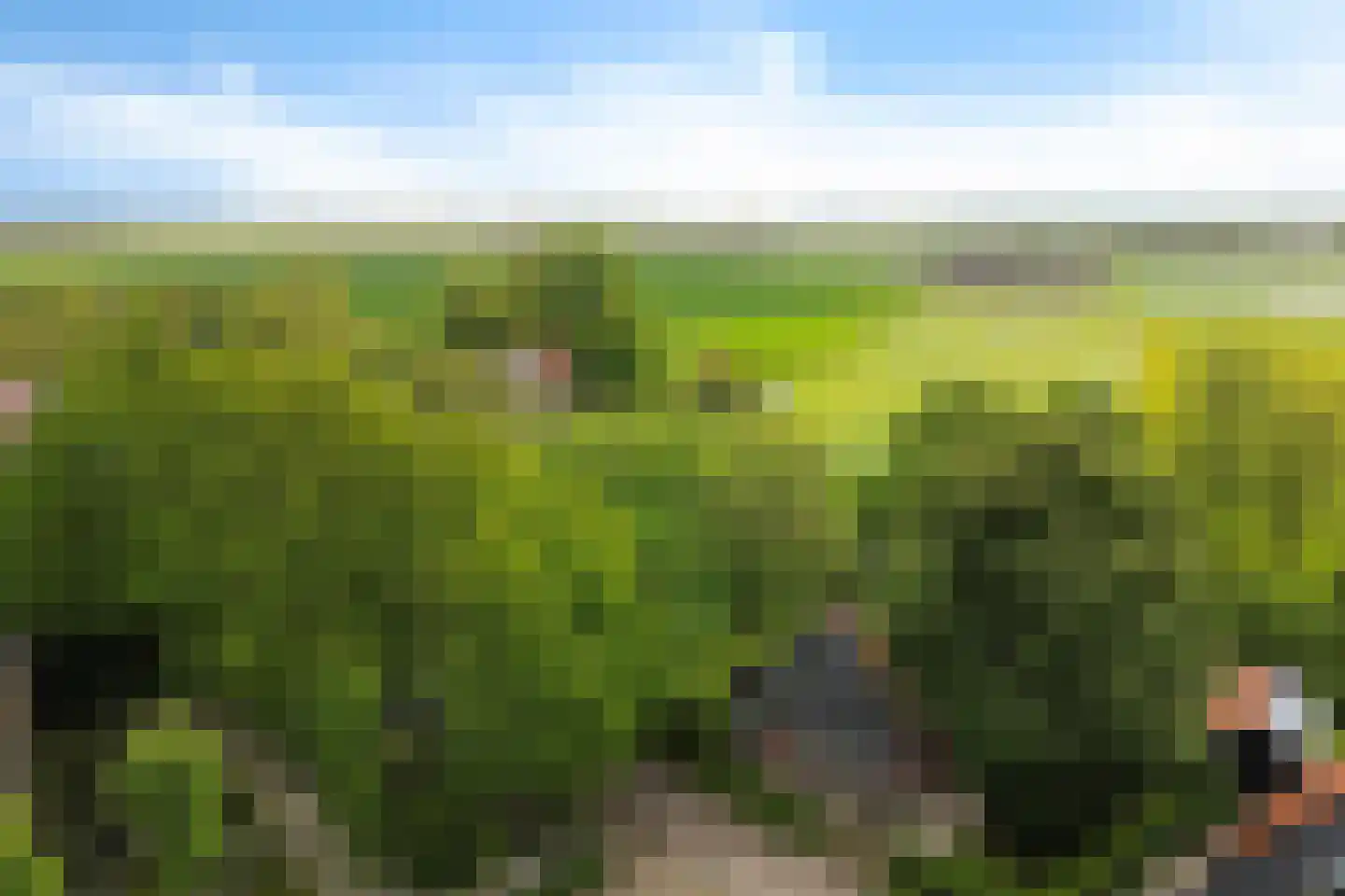 Buorren 14 Skingen thumbnail 72