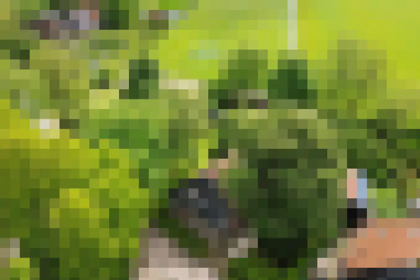 Buorren 14 Skingen thumbnail 73