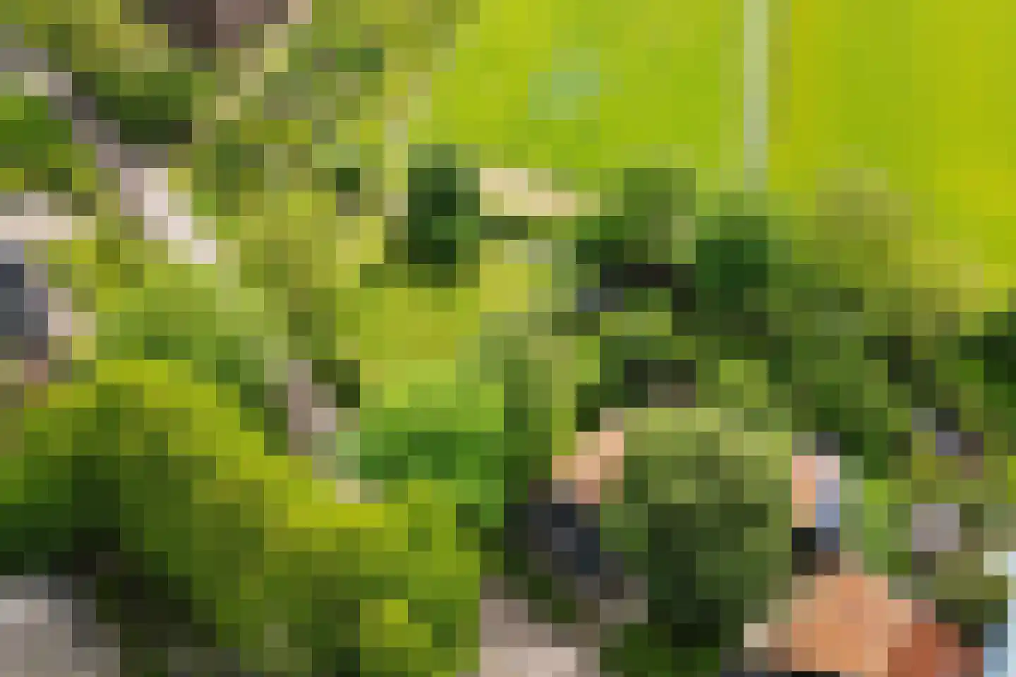 Buorren 14 Skingen thumbnail 74