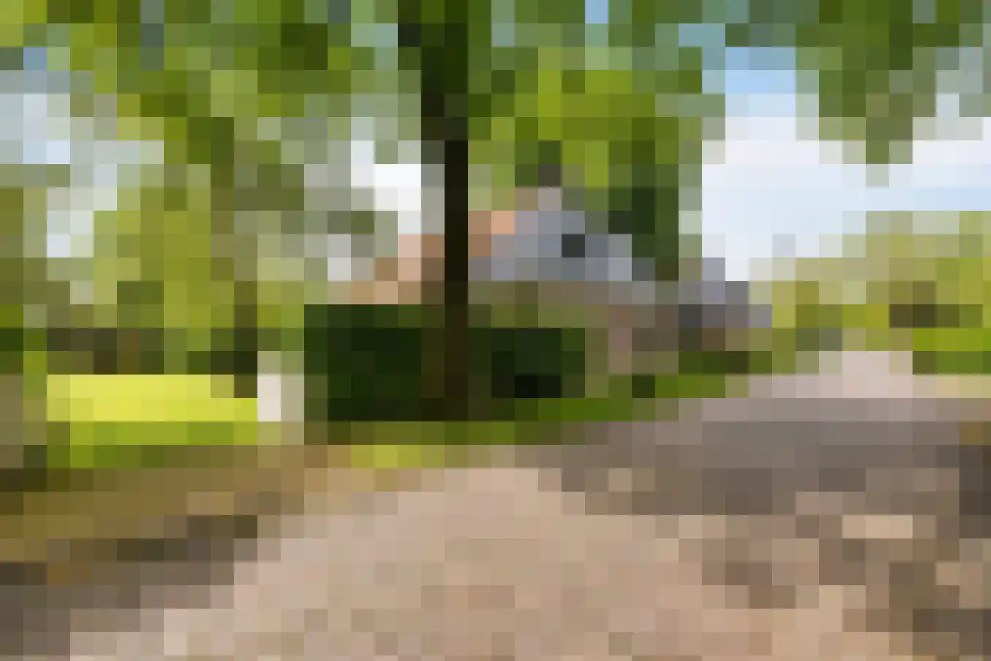 Buorren 14 Skingen thumbnail 76