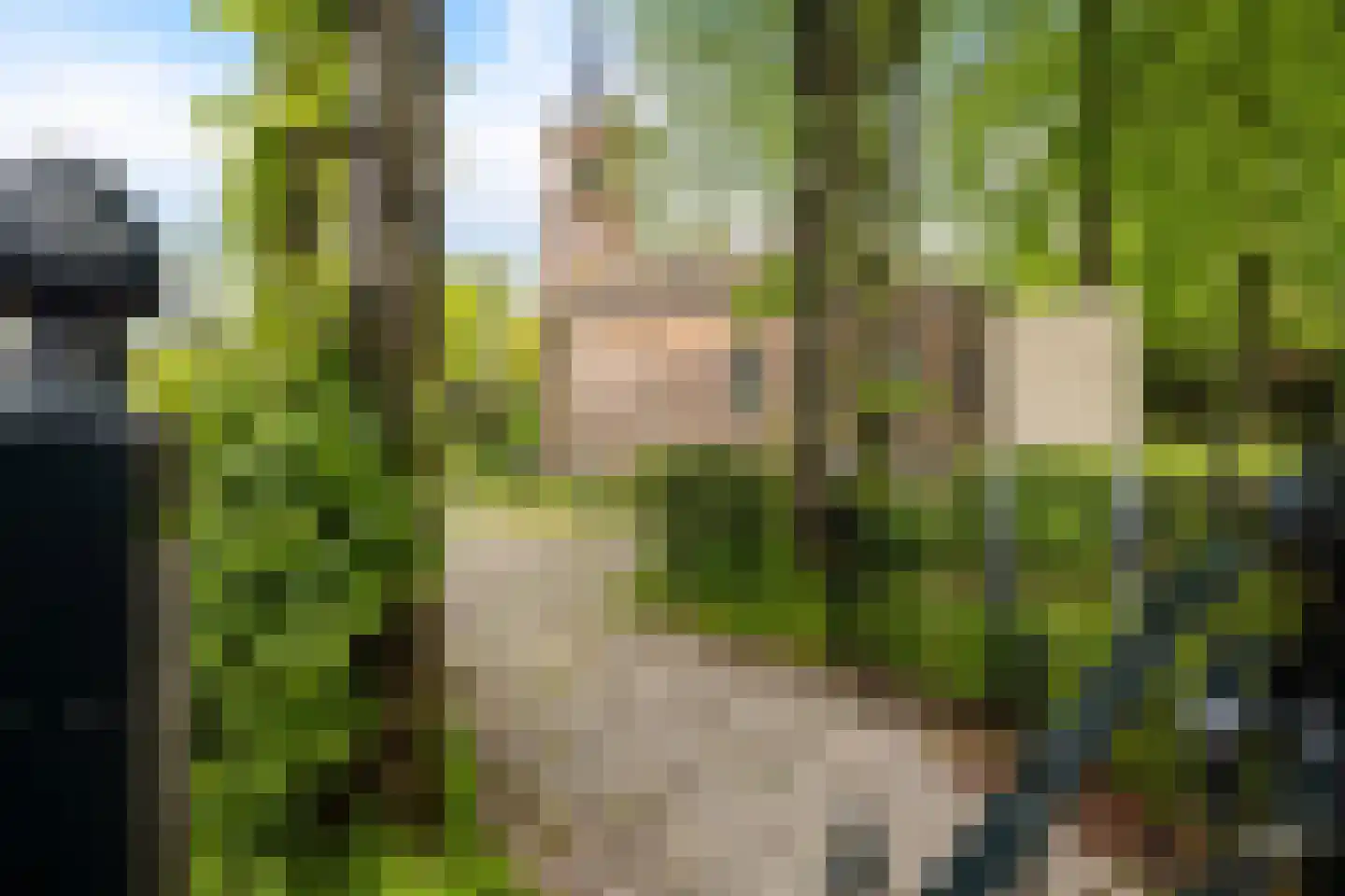 Buorren 14 Skingen thumbnail 77