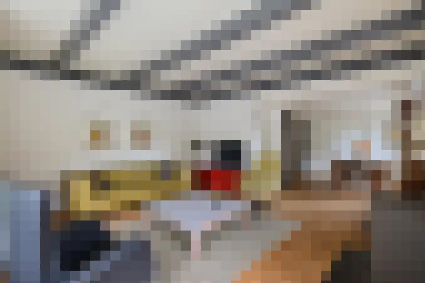 Buorren 14 Skingen thumbnail 9