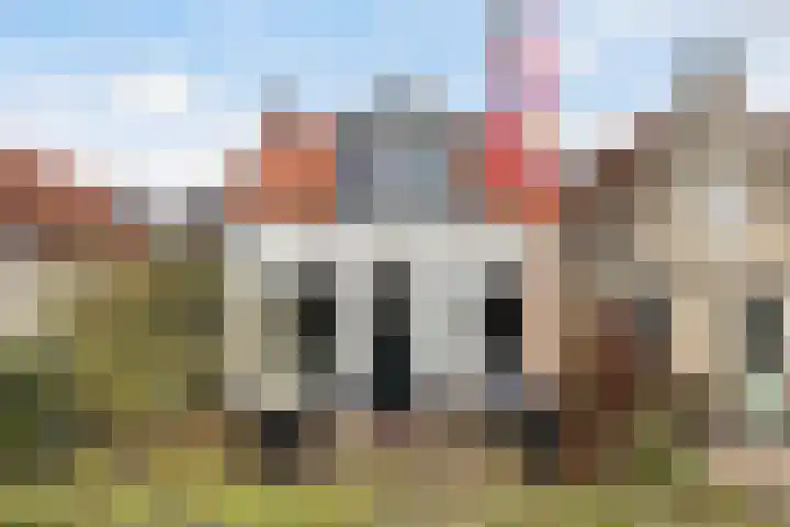 Buorren 142 Terherne thumbnail 17