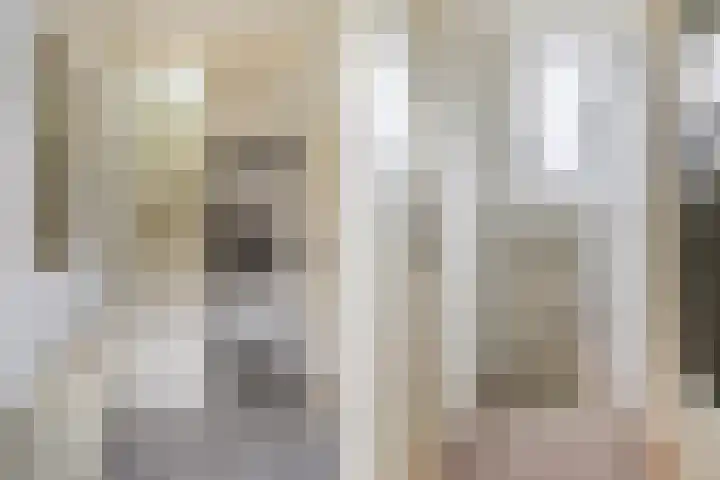 Buorren 142 Terherne thumbnail 18