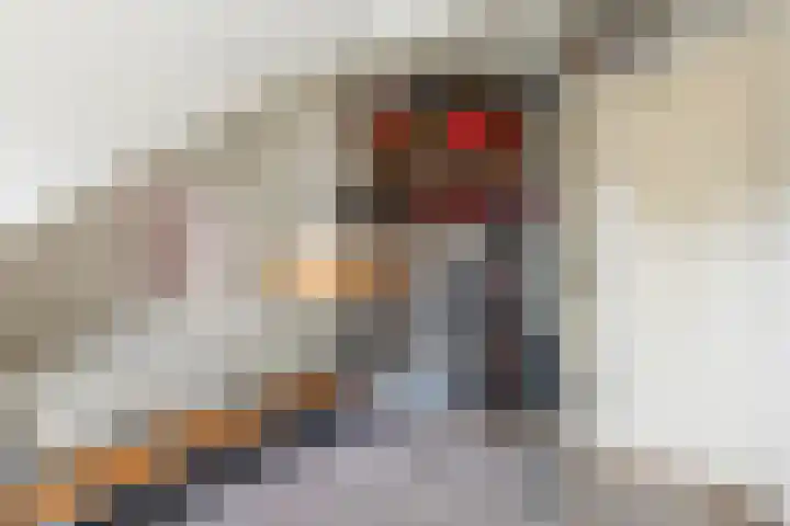 Buorren 142 Terherne thumbnail 20