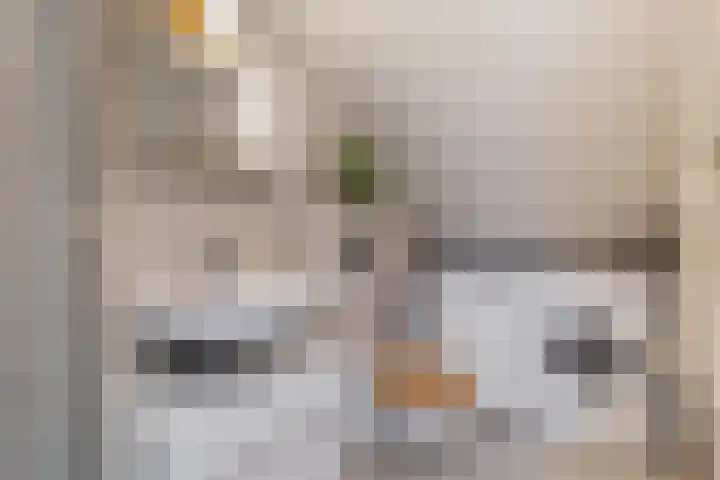 Buorren 142 Terherne thumbnail 25