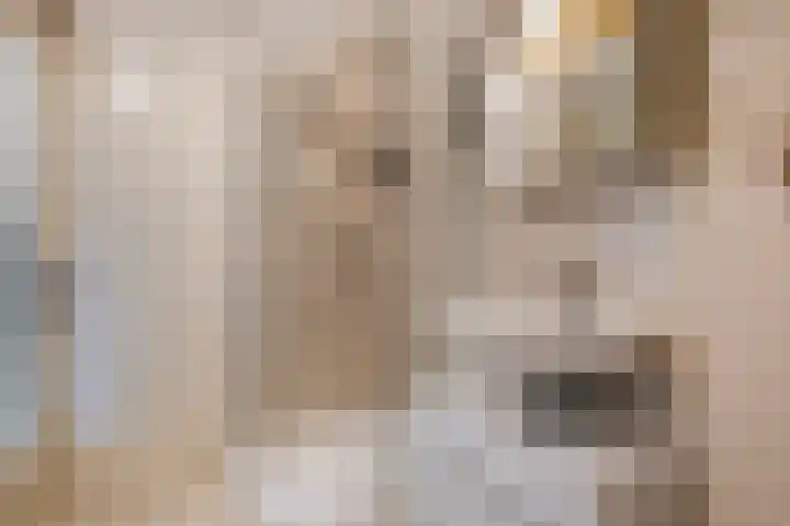Buorren 142 Terherne thumbnail 26