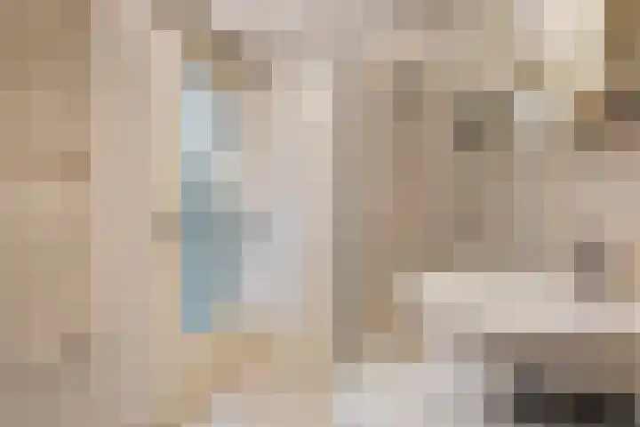 Buorren 142 Terherne thumbnail 27