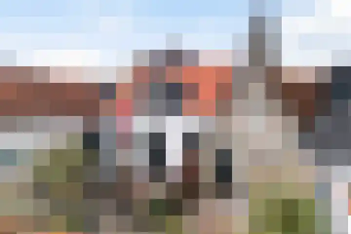 Buorren 142 Terherne thumbnail 28