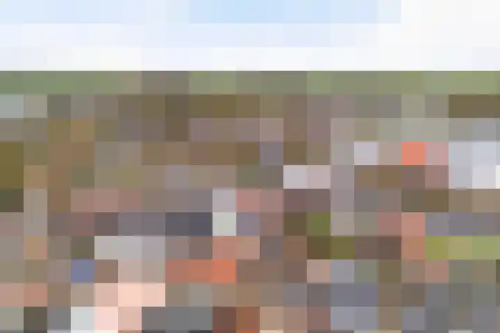 Buorren 142 Terherne thumbnail 4