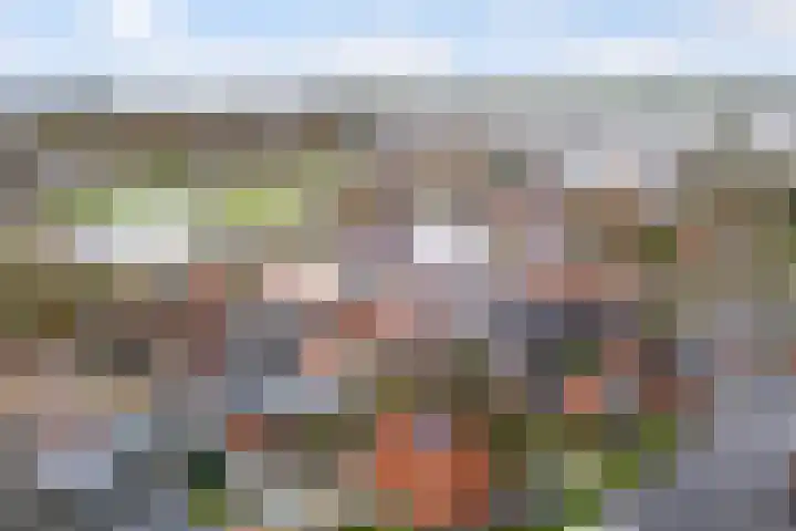 Buorren 142 Terherne thumbnail 6
