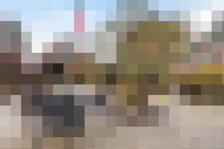 Buorren 142 Terherne thumbnail 7