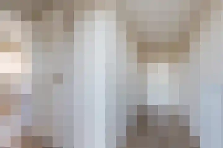 Buorren 15 Elahuizen thumbnail 10